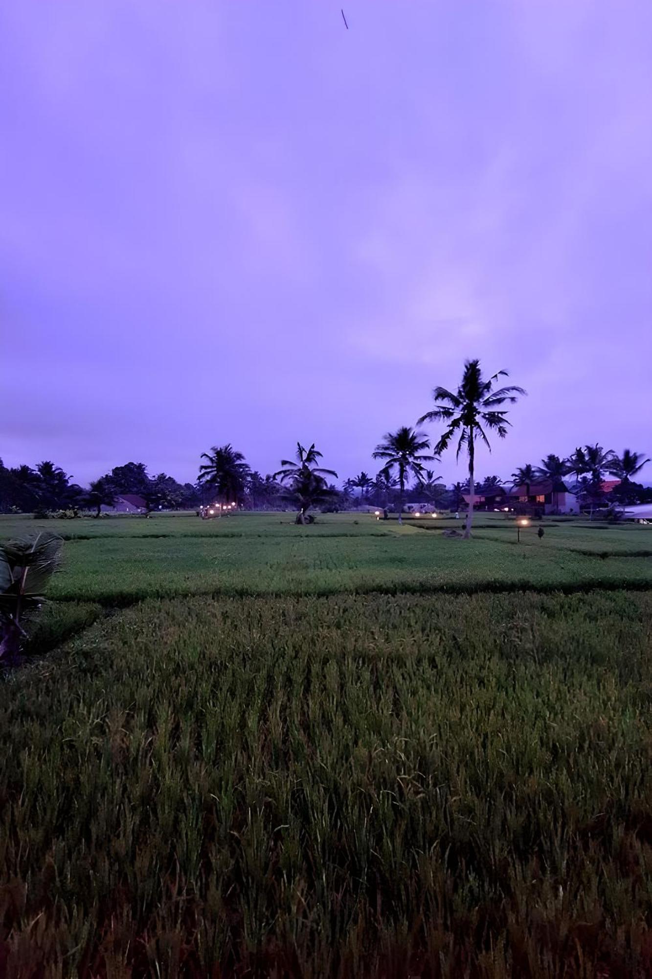 Lumbung Langit Bali House & Hostel Tampaksiring Exterior foto
