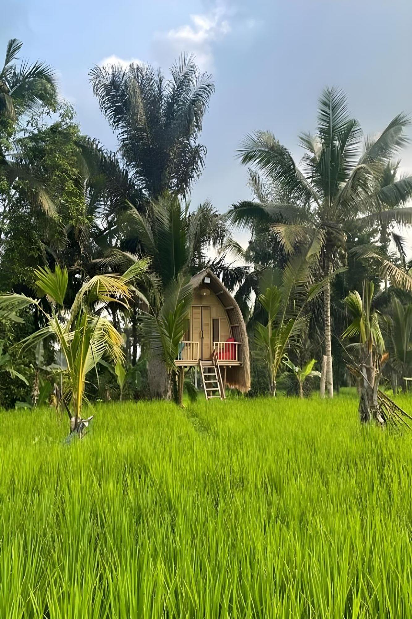 Lumbung Langit Bali House & Hostel Tampaksiring Exterior foto