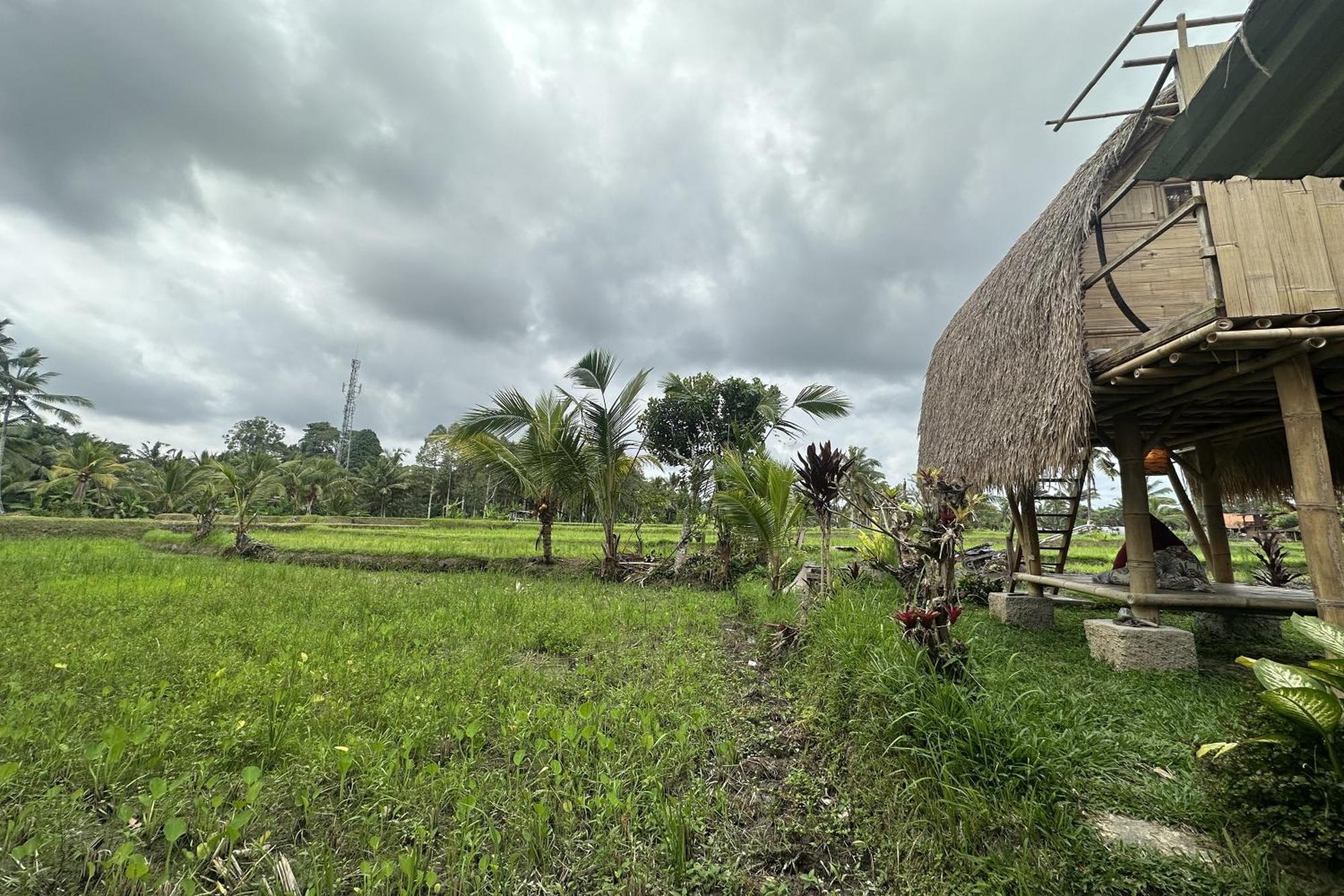 Lumbung Langit Bali House & Hostel Tampaksiring Exterior foto