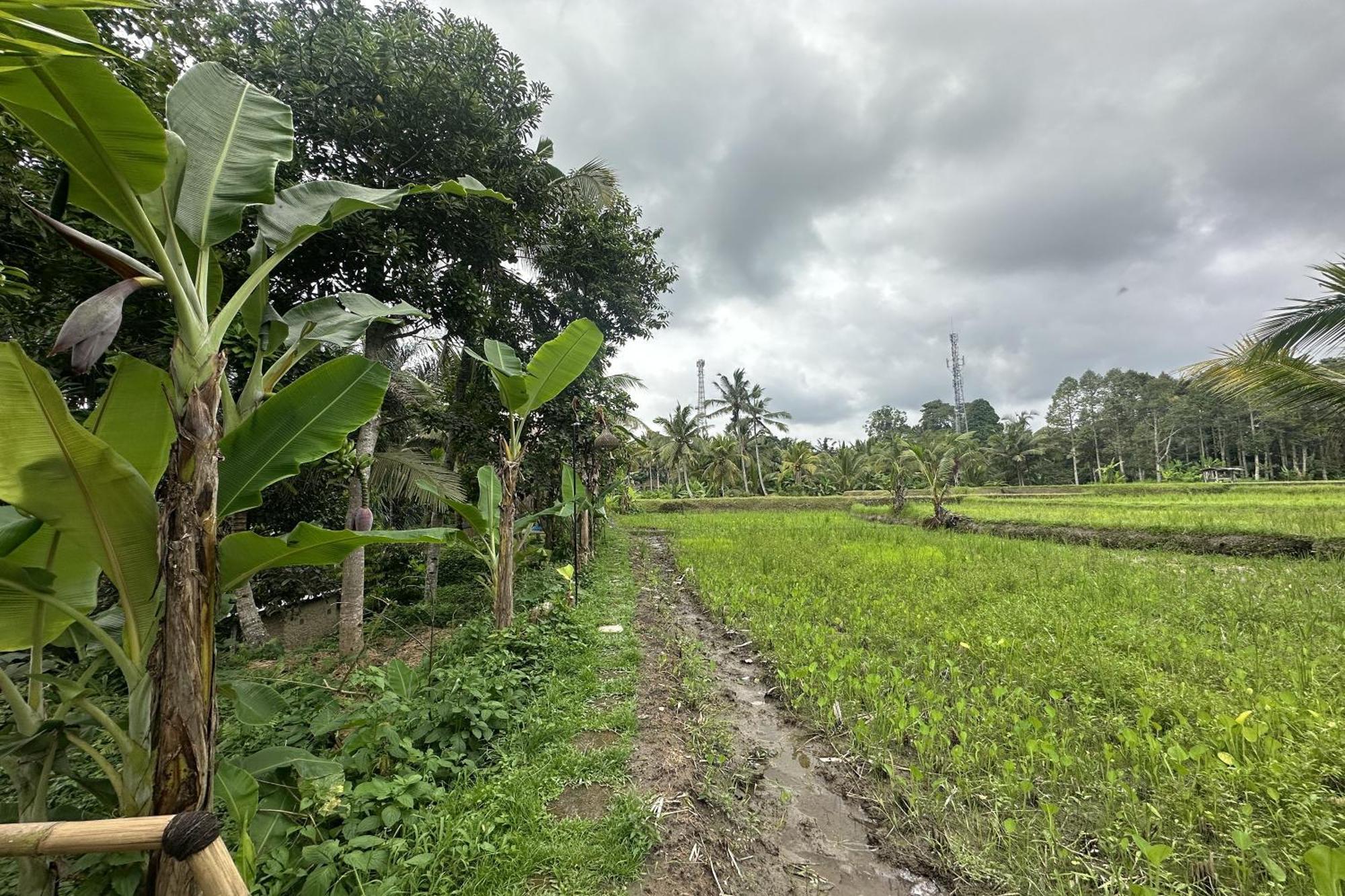 Lumbung Langit Bali House & Hostel Tampaksiring Exterior foto